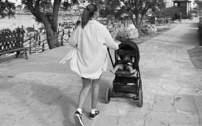 Support for Single Parents – Home Guarantee Scheme