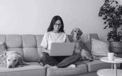 How redraw facilities and offset accounts can save you money